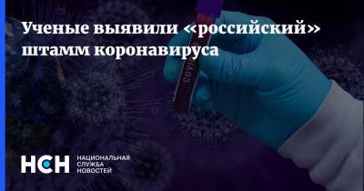 Ученые выявили «российский» штамм коронавируса