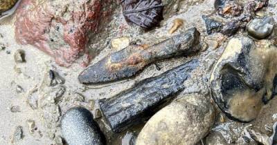 В Темзе нашли наконечник стрелы, выпущенной из Тауэра 900 лет назад