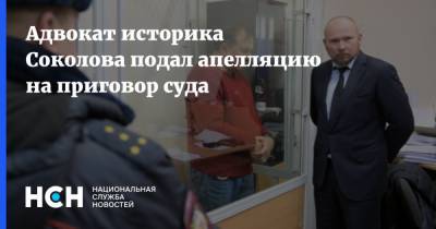 Адвокат историка Соколова подал апелляцию на приговор суда
