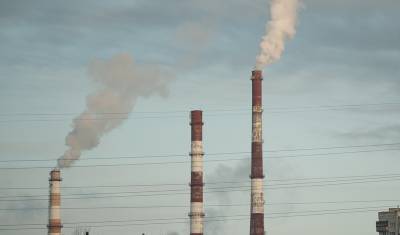 Экономика vs экология: в Карелии может появиться новый загрязнитель воздуха - ЦБК - newizv.ru - Сегежа - республика Карелия