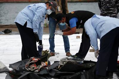 СМИ сообщили об обнаружении чёрного ящика разбившегося в Индонезии Boeing
