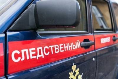 Жителя Тверской области обвинили в убийстве брата
