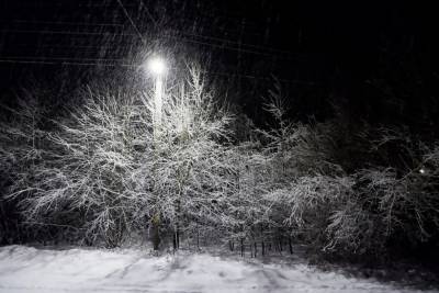 Снег и ветер не повлияли на работу псковской таможни