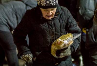 Жители Гатчины связали шарфы, шапки, варежки и носки для бездомных горожан