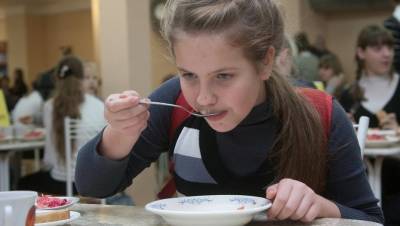 Родители учащихся пожаловались на питание в школе № 328 Петербурга