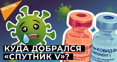 "Спутник V" добрался до Африки. Почему российской вакцине доверяют?