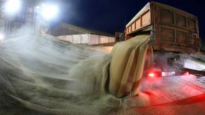 Минэкономразвития обсудит изменение экспортных пошлин на пшеницу