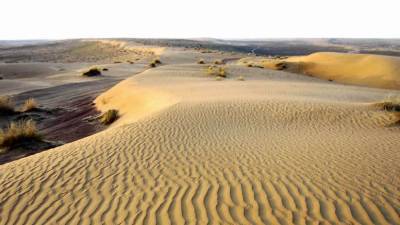Пустыни Туркменистана намерены выдвинуть в список Всемирного наследия ЮНЕСКО