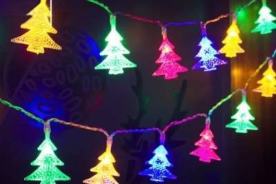 Жительница Иванова украла гирлянду с новогодней елки