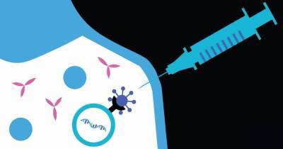 Вакцины от коронавируса не могут изменять ДНК человека, и вот почему