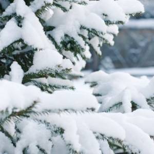 Украинцев предупредили о надвигающемся снегопаде и холодах до -21