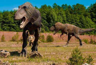 Ученые: На востоке Китая найдено более 240 окаменелых следов динозавров возрастом 80 млн лет