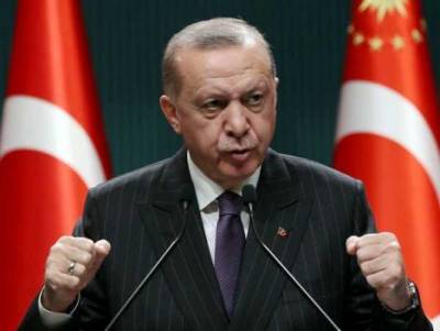 Эрдоган пожаловался послам ЕС на бездействие НАТО