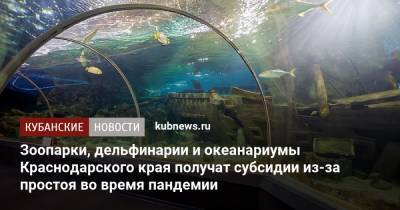 Зоопарки, дельфинарии и океанариумы Краснодарского края получат субсидии из-за простоя во время пандемии