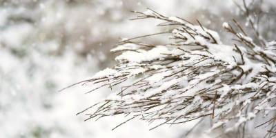 Ухудшение погоды в Украине: синоптики спрогнозировали до 15 см снега в ряде областей
