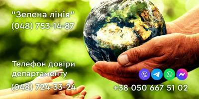 Спасти деревья: в Одессе запустили «Зелёную линию»