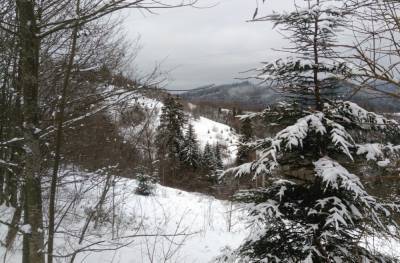 Еще ударят морозы и накроют снегопады: синоптики рассказали украинцам, какой будет зима в феврале