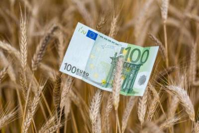 Экспортная пошлина на российскую пшеницу может вырасти вдвое