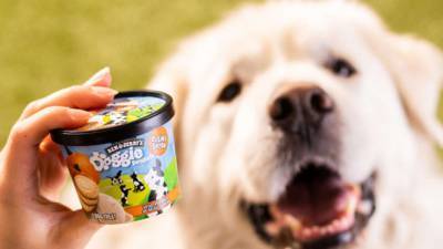 Любителям животных на заметку: в мире появилось мороженое для собак