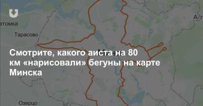 Смотрите, какого аиста на 80 км «нарисовали» бегуны на карте Минска