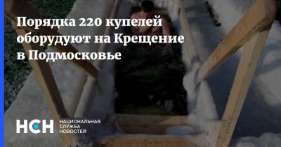 Порядка 220 купелей оборудуют на Крещение в Подмосковье