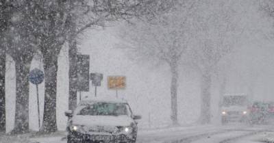 Германия утонет в снегах: приближается настоящая зима