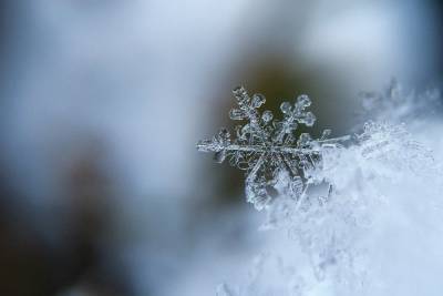 Гололед и снег прогнозируют синоптики в Псковской области 13 декабря