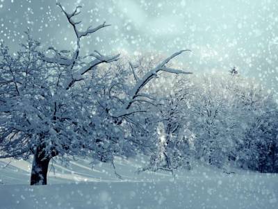 Завтра ряд областей Украины засыплет снегом