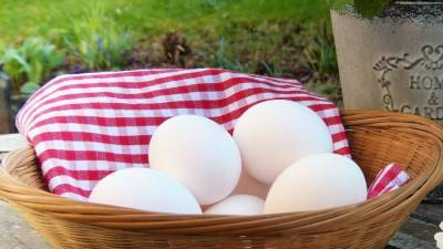 Названы причины роста цен на яйца в России