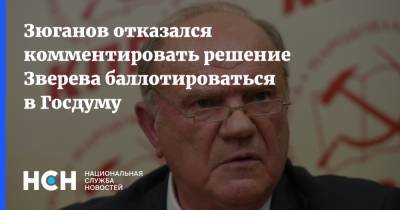 Зюганов отказался комментировать решение Зверева баллотироваться в Госдуму