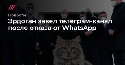 Эрдоган зарегистрировался в телеграме после отказа его администрации от WhatsApp