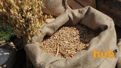Украина сократила экспорт пшеницы и кукурузы