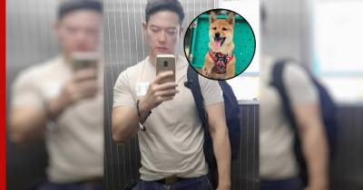 Мужчина из Тайваня сильно помолодел, когда взял из приюта собаку