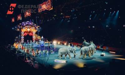 В удмуртском цирке животные выступали в одежде со свастикой