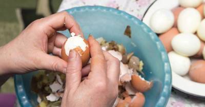 Легкий способ почистить яйцо, чтобы скорлупа слетала от одного взгляда на нее