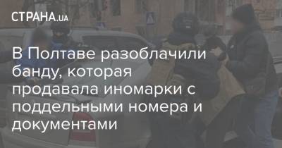 В Полтаве разоблачили банду, которая продавала иномарки с поддельными номера и документами