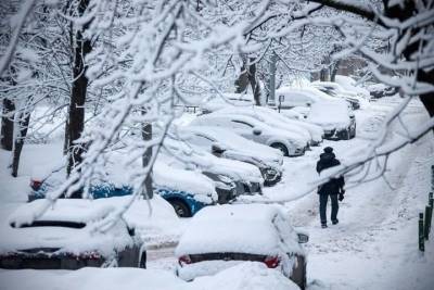Мэр Белгорода просит жителей региона не ставить машины в проездах из-за снегопада