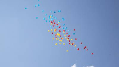 Американец нашел пролетевшее тысячу километров письмо в воздушном шарике