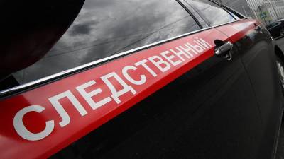СК расследует дело об избиении до смерти пенсионерки в Москве