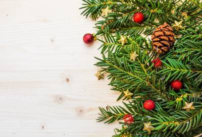 Эколог объяснил, почему не стоит долго держать новогоднюю елку в доме