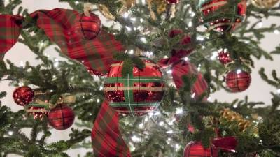 Эколог Ястребцев назвал лучшее время для избавления от новогодней елки