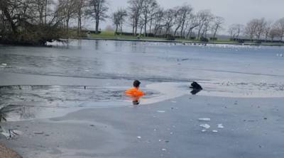 Мужчина бросился в замершее озеро, чтобы спасти собаку - видео