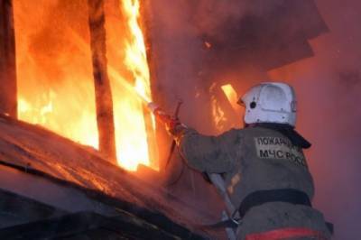 При пожаре под Новосибирском пострадали женщина и пятеро детей