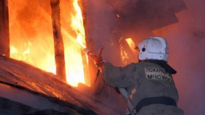 Пятеро детей и женщина пострадали при пожаре в Новосибирской области