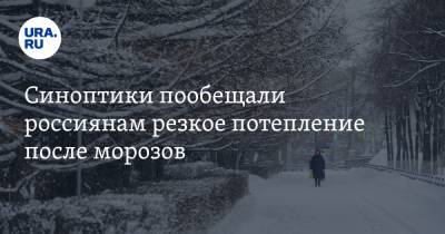 Синоптики пообещали россиянам резкое потепление после морозов