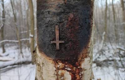 Фото: возле Кудрово найдена ритуальная поляна с перевернутыми крестами