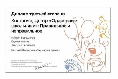 На всероссийской олимпиаде по программированию костромские школьники получили диплом третьей степени