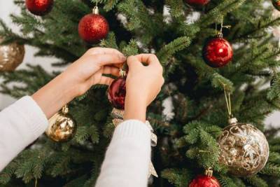 Эксперт призвал избавиться от новогодних елок до 14 января nbsp