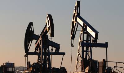 Нефть Brent впервые с февраля 2020 года поднялась до $57 за баррель