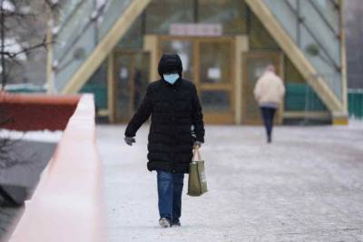 Вирусолог Альтштейн заявил о «зимнем плато» по коронавирусу в России